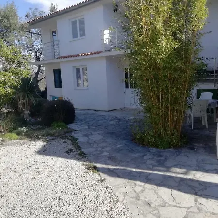 Zecevo روغوزنيكا