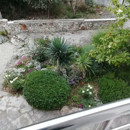 شقة Zecevo